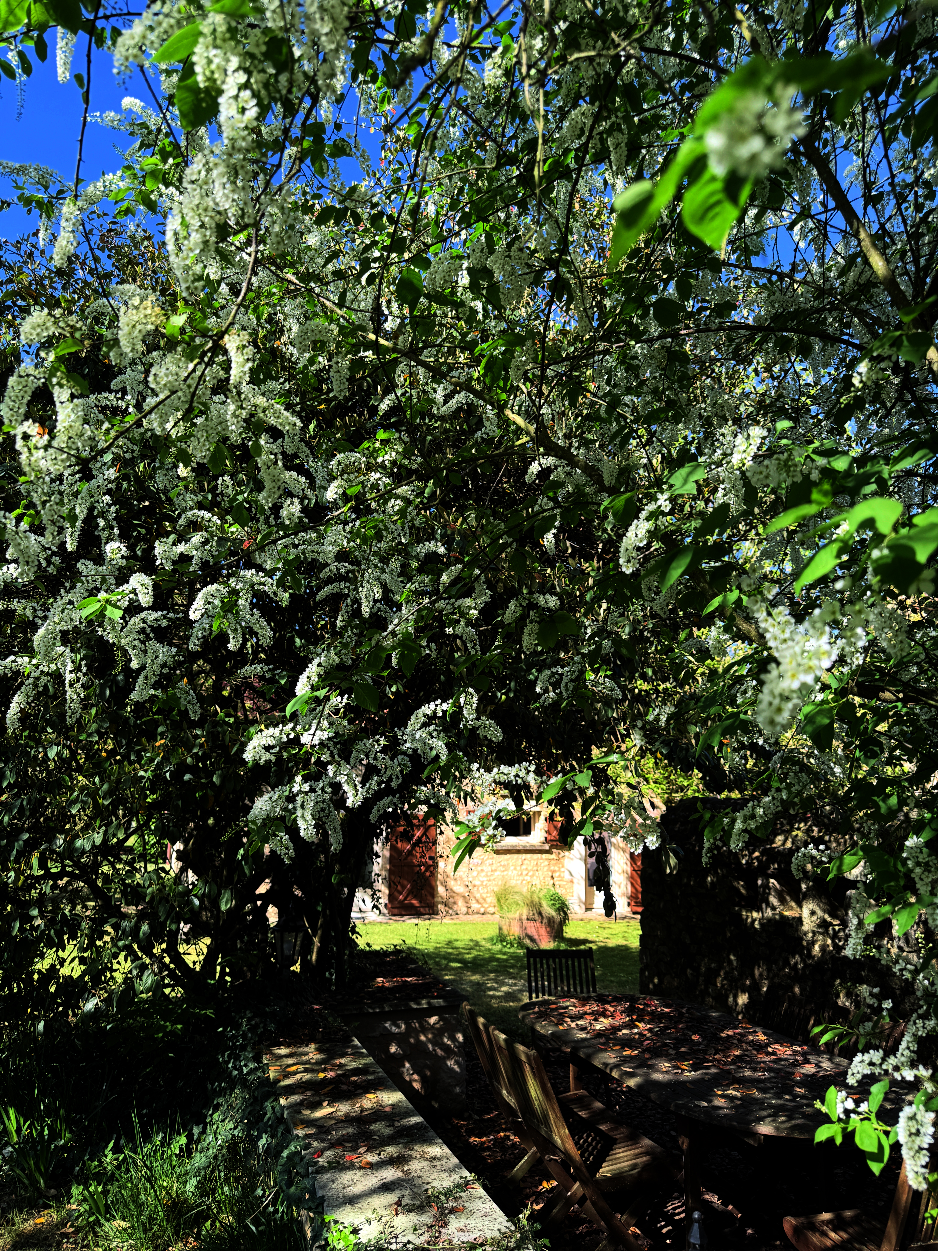 05_Maison&jardin2